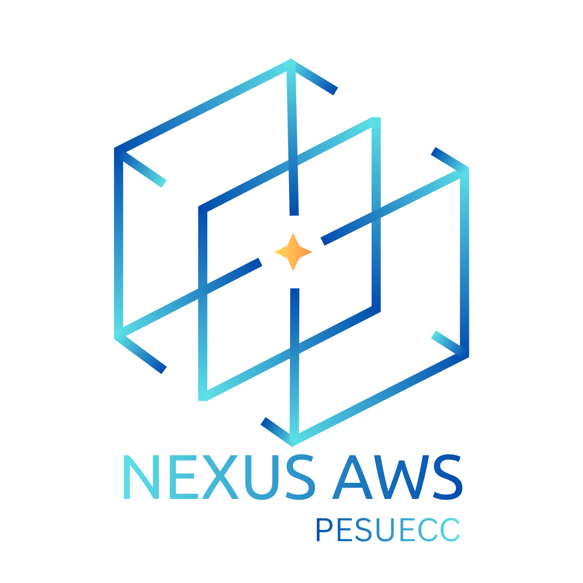 Nexus AWS
